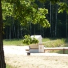 vorne