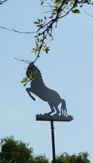 Wetterhahn