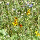 Bild1