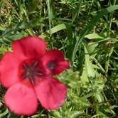 Bild5