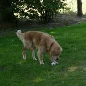 Bild4